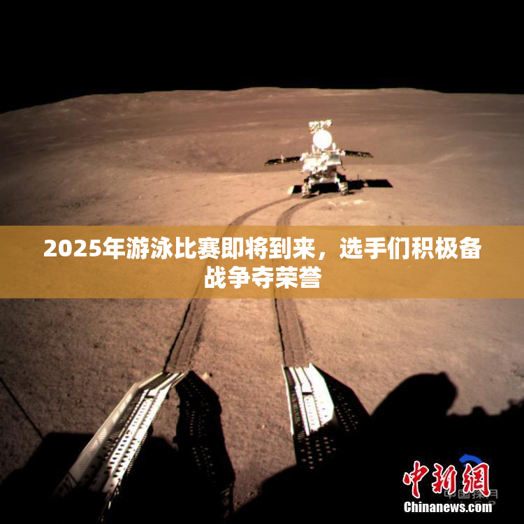 2025年游泳比赛即将到来，选手们积极备战争夺荣誉