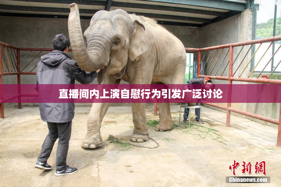 直播间内上演自慰行为引发广泛讨论