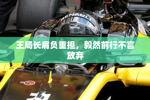 王局长肩负重担，毅然前行不言放弃