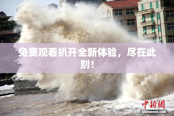 免费观看扒开全新体验，尽在此刻！