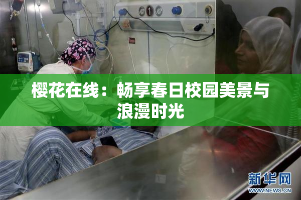 樱花在线：畅享春日校园美景与浪漫时光