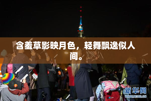 含羞草影映月色，轻舞飘逸似人间。
