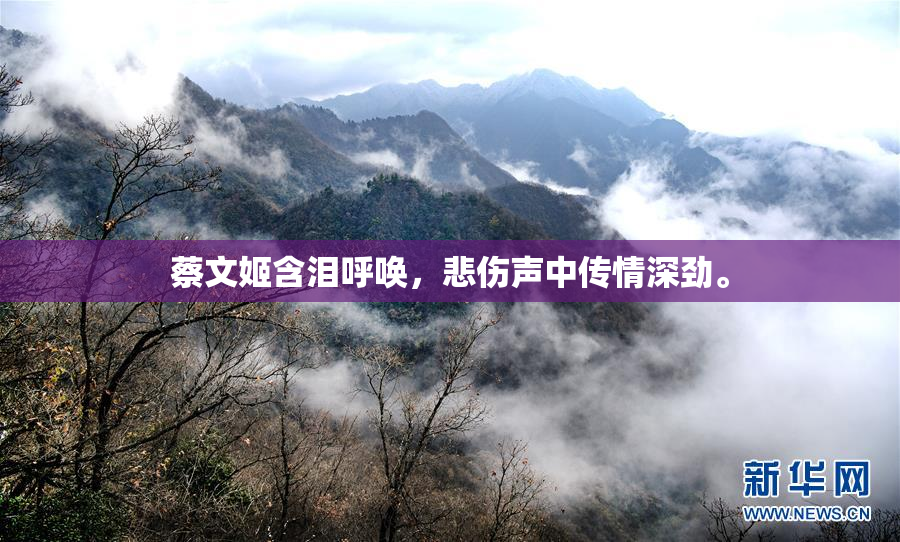 蔡文姬含泪呼唤，悲伤声中传情深劲。