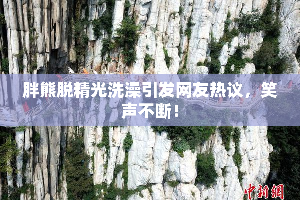 胖熊脱精光洗澡引发网友热议，笑声不断！