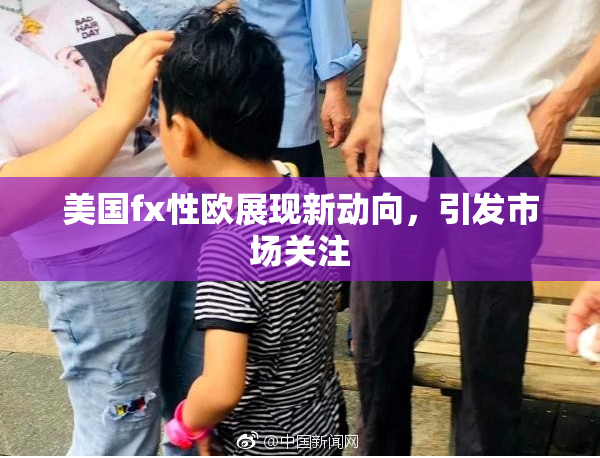 美国fx性欧展现新动向，引发市场关注