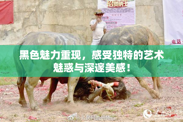 黑色魅力重现，感受独特的艺术魅惑与深邃美感！