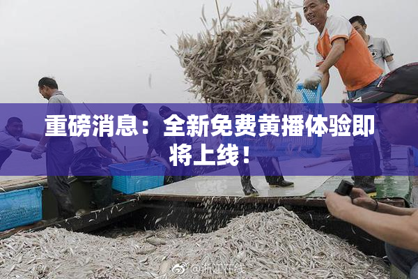 重磅消息：全新免费黄播体验即将上线！