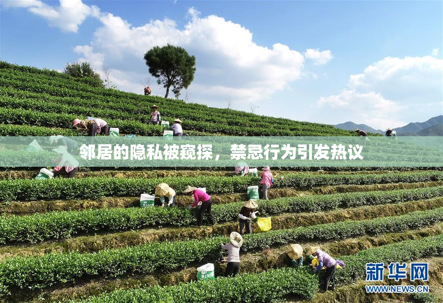 邻居的隐私被窥探，禁忌行为引发热议