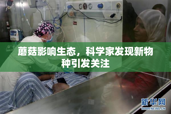 蘑菇影响生态，科学家发现新物种引发关注