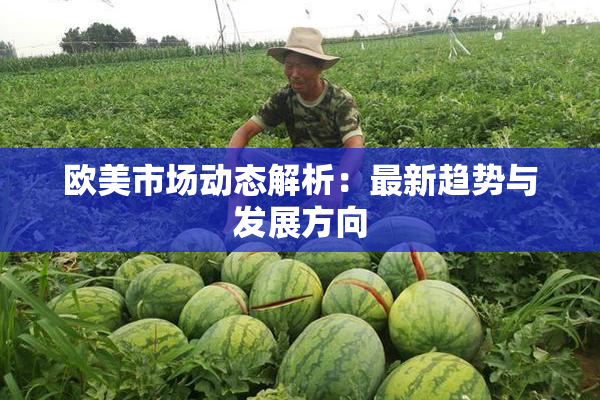 欧美市场动态解析：最新趋势与发展方向