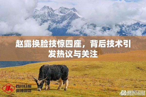 赵露换脸技惊四座，背后技术引发热议与关注