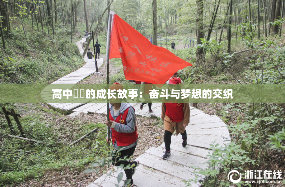 高中妺妺的成长故事：奋斗与梦想的交织