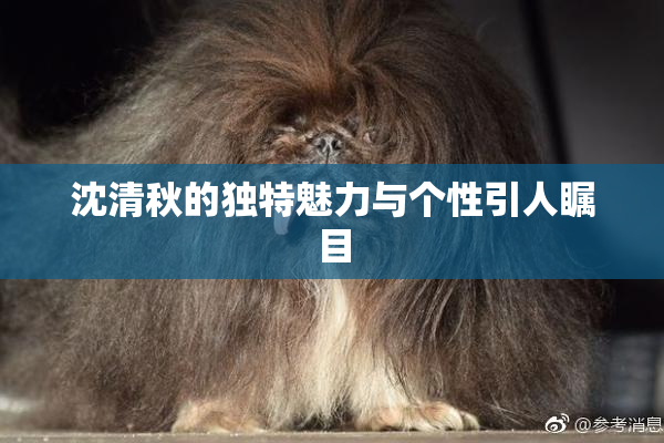 沈清秋的独特魅力与个性引人瞩目