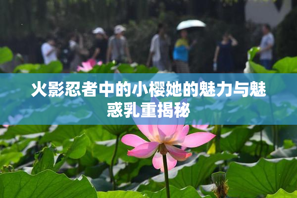 火影忍者中的小樱她的魅力与魅惑乳重揭秘
