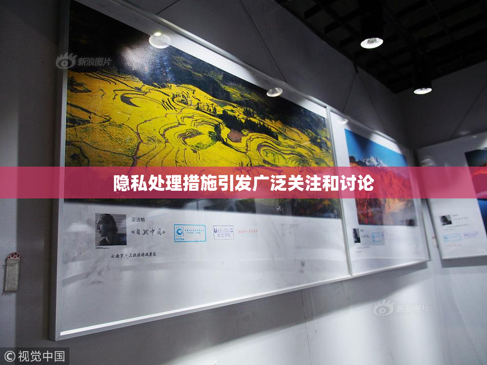 隐私处理措施引发广泛关注和讨论
