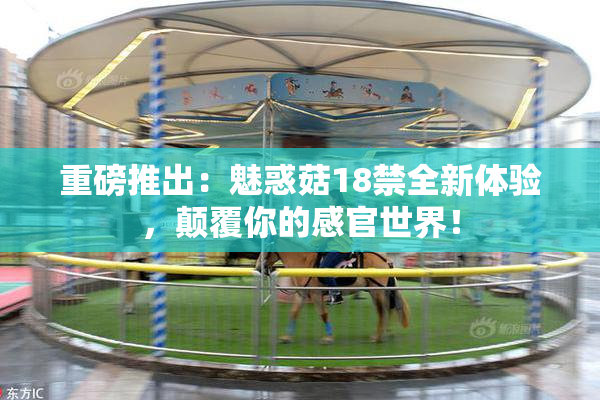 重磅推出：魅惑菇18禁全新体验，颠覆你的感官世界！