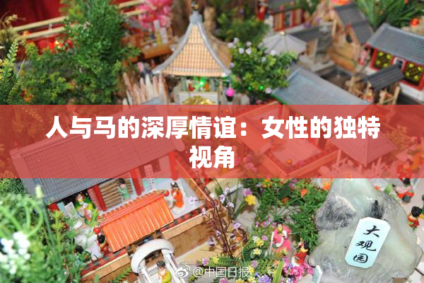 人与马的深厚情谊：女性的独特视角
