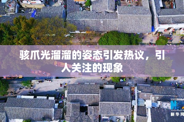 骇爪光溜溜的姿态引发热议，引人关注的现象
