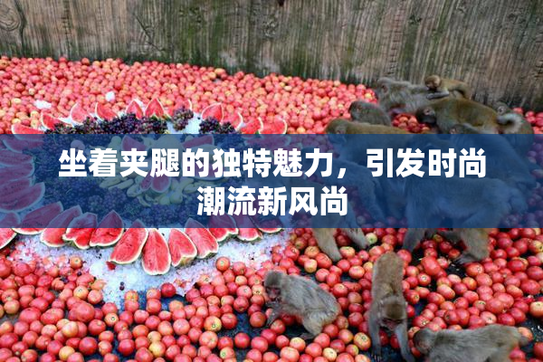 坐着夹腿的独特魅力，引发时尚潮流新风尚