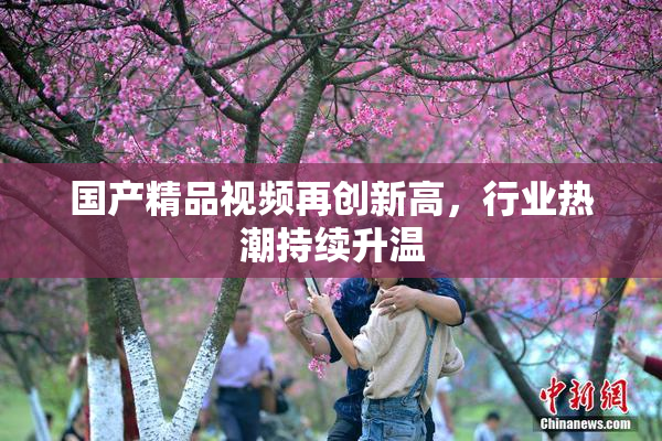 国产精品视频再创新高，行业热潮持续升温