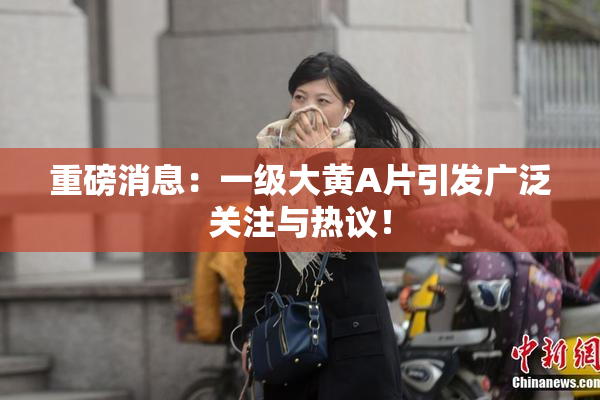 重磅消息：一级大黄A片引发广泛关注与热议！