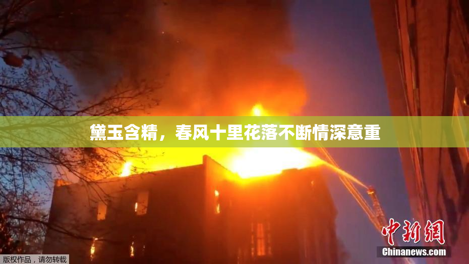 黛玉含精，春风十里花落不断情深意重