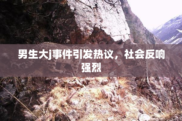 男生大j事件引发热议，社会反响强烈