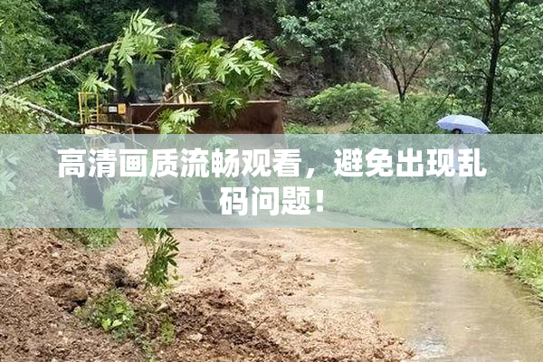 高清画质流畅观看，避免出现乱码问题！