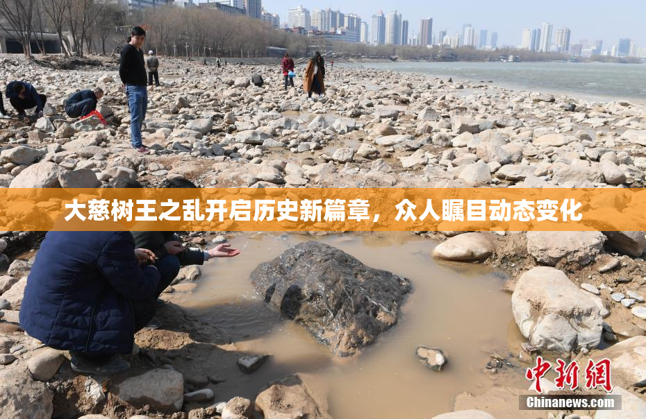 大慈树王之乱开启历史新篇章，众人瞩目动态变化