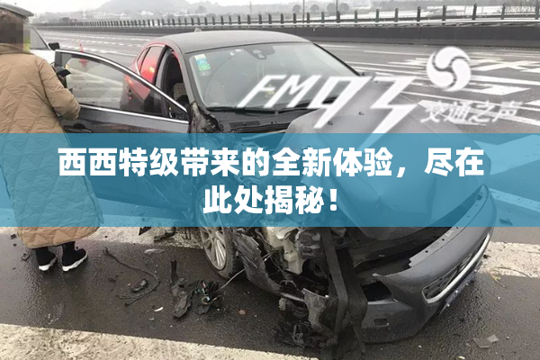 西西特级带来的全新体验，尽在此处揭秘！