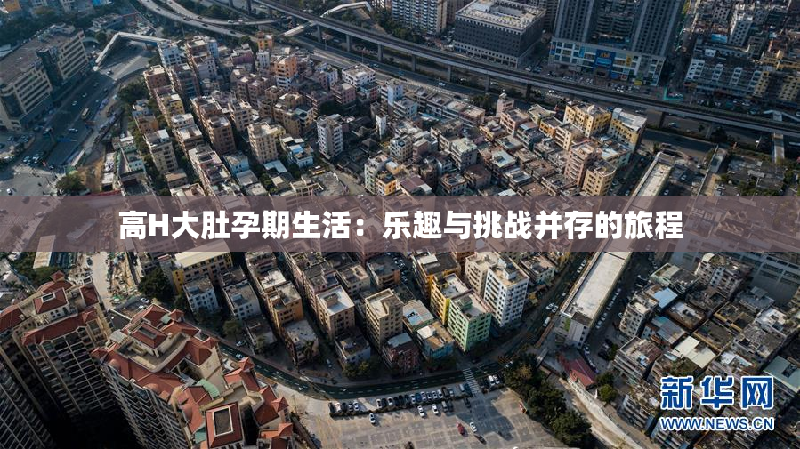高H大肚孕期生活：乐趣与挑战并存的旅程
