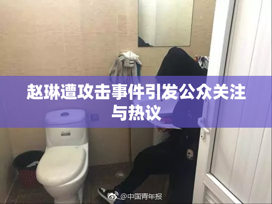 赵琳遭攻击事件引发公众关注与热议