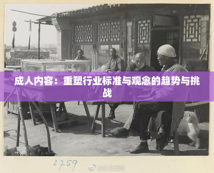 成人内容：重塑行业标准与观念的趋势与挑战