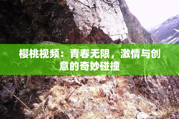 樱桃视频：青春无限，激情与创意的奇妙碰撞