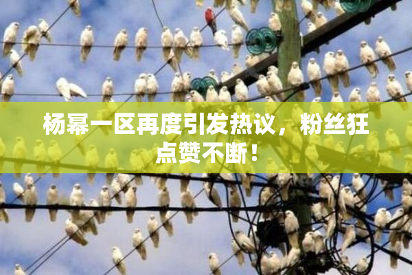 杨幂一区再度引发热议，粉丝狂点赞不断！