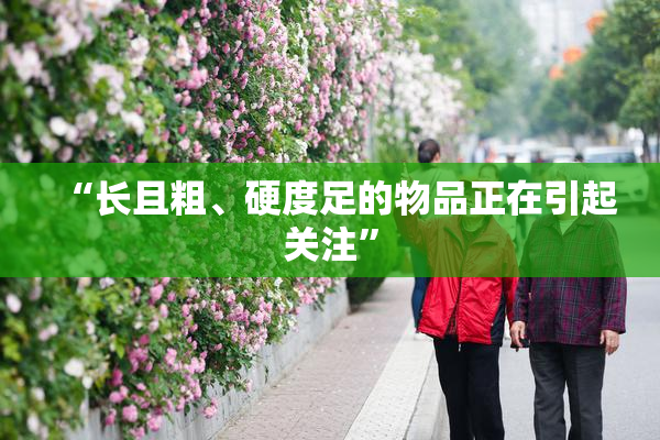 “长且粗、硬度足的物品正在引起关注”