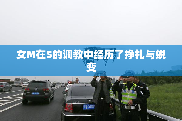 女M在S的调教中经历了挣扎与蜕变