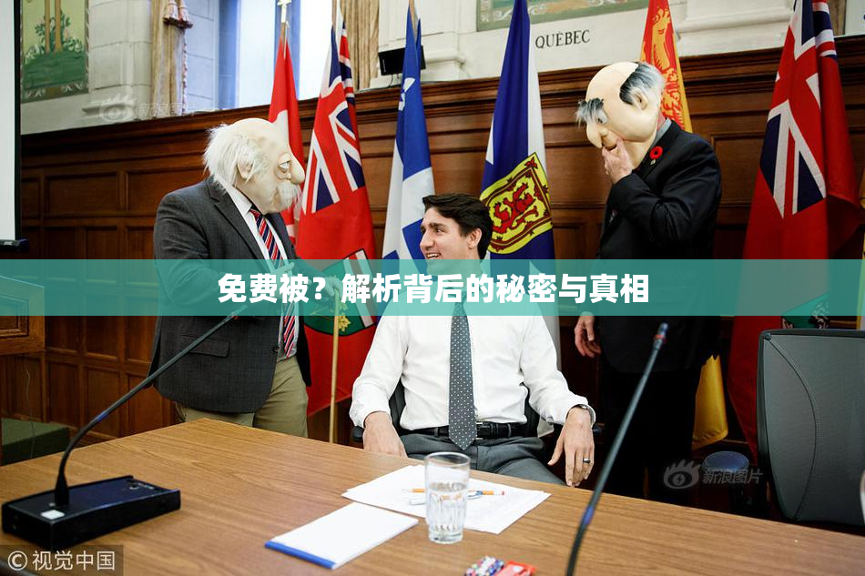 免费被？解析背后的秘密与真相