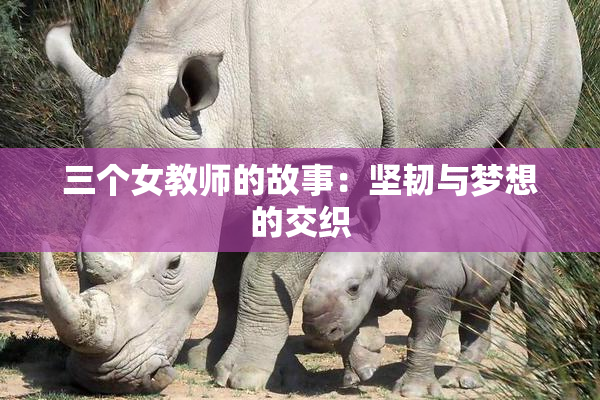 三个女教师的故事：坚韧与梦想的交织