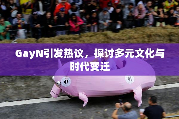 GayN引发热议，探讨多元文化与时代变迁