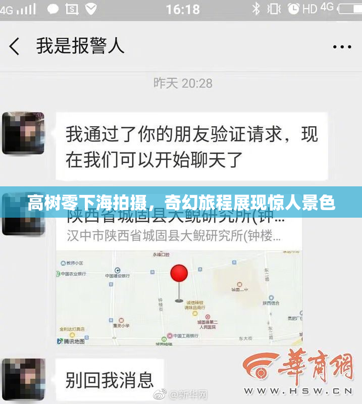 高树零下海拍摄，奇幻旅程展现惊人景色
