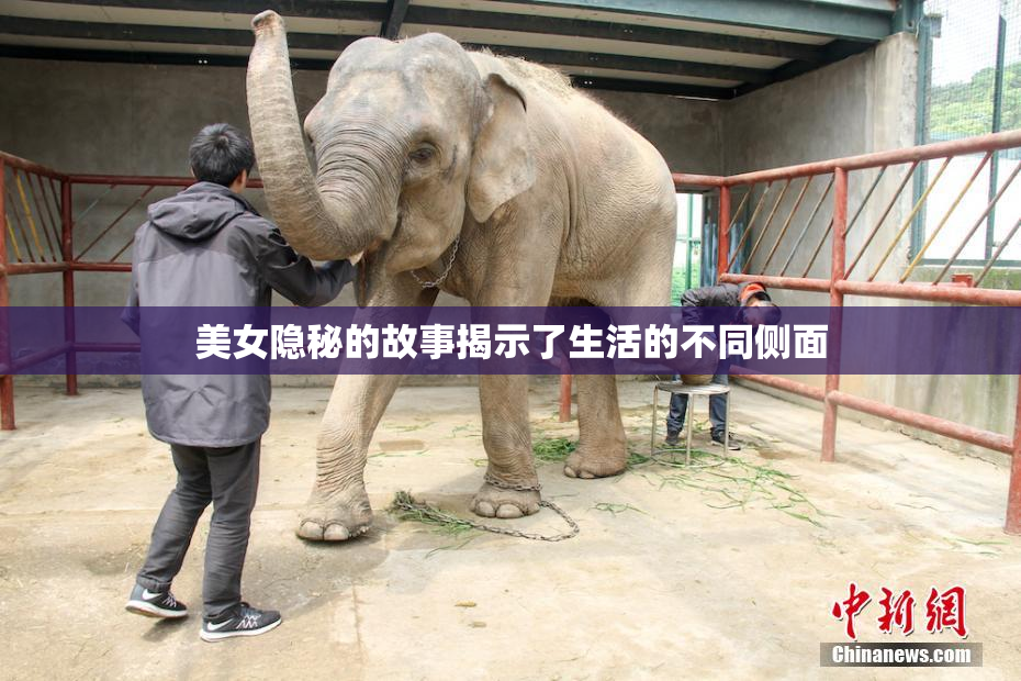 美女隐秘的故事揭示了生活的不同侧面
