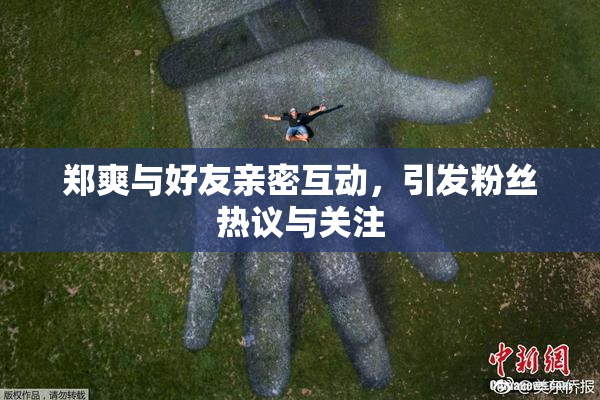 郑爽与好友亲密互动，引发粉丝热议与关注