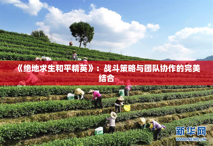 《绝地求生和平精英》：战斗策略与团队协作的完美结合
