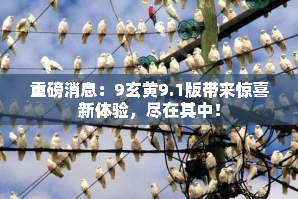重磅消息：9玄黄9.1版带来惊喜新体验，尽在其中！