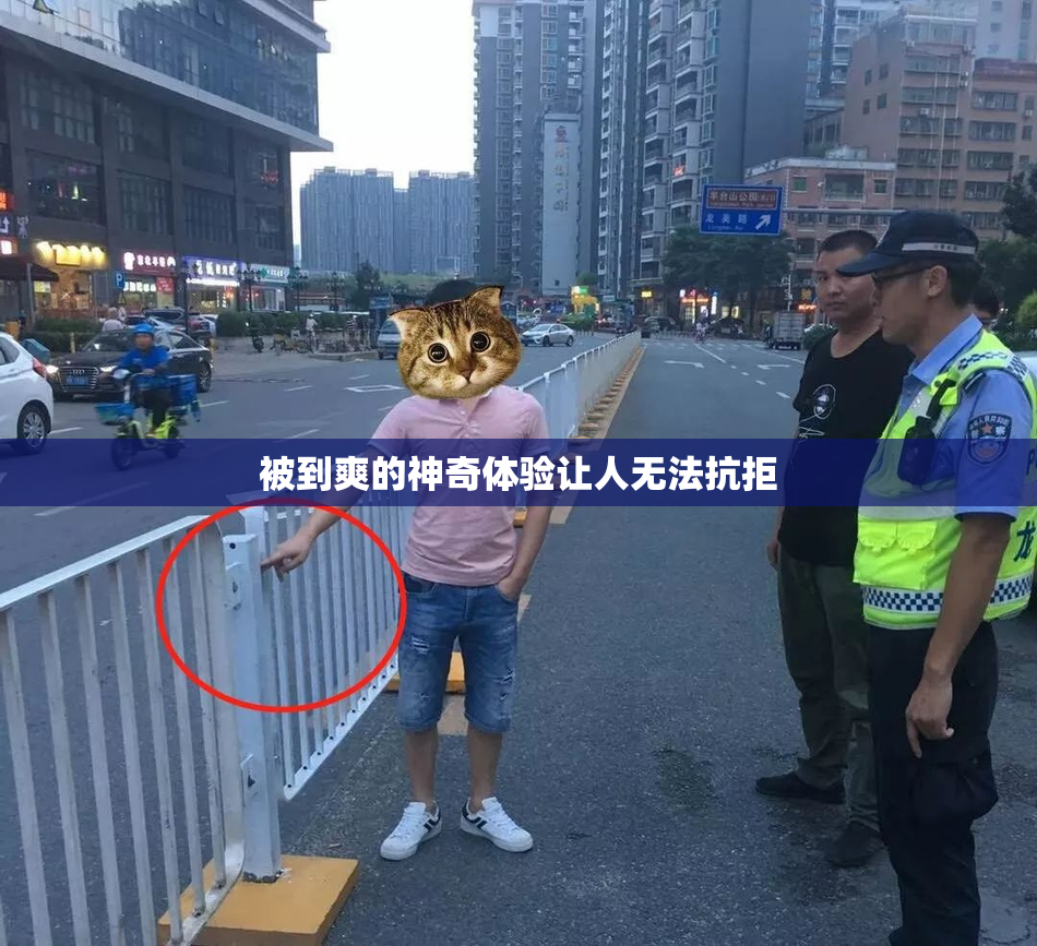 被到爽的神奇体验让人无法抗拒