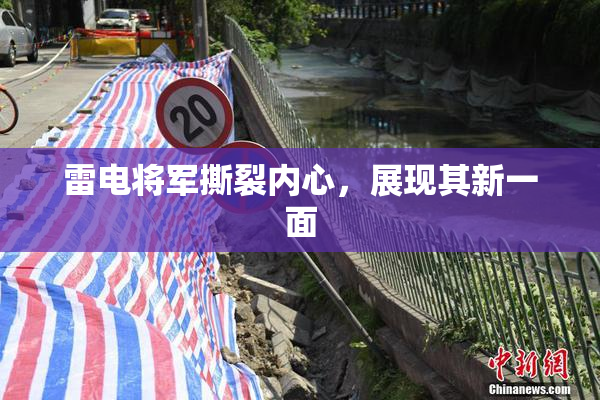 雷电将军撕裂内心，展现其新一面
