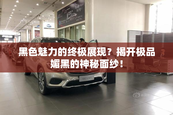 黑色魅力的终极展现？揭开极品媚黑的神秘面纱！