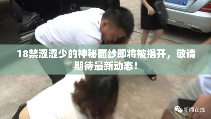 18禁涩涩少的神秘面纱即将被揭开，敬请期待最新动态！