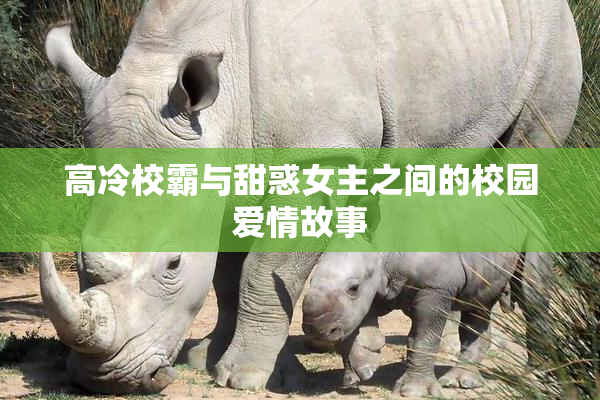高冷校霸与甜惑女主之间的校园爱情故事